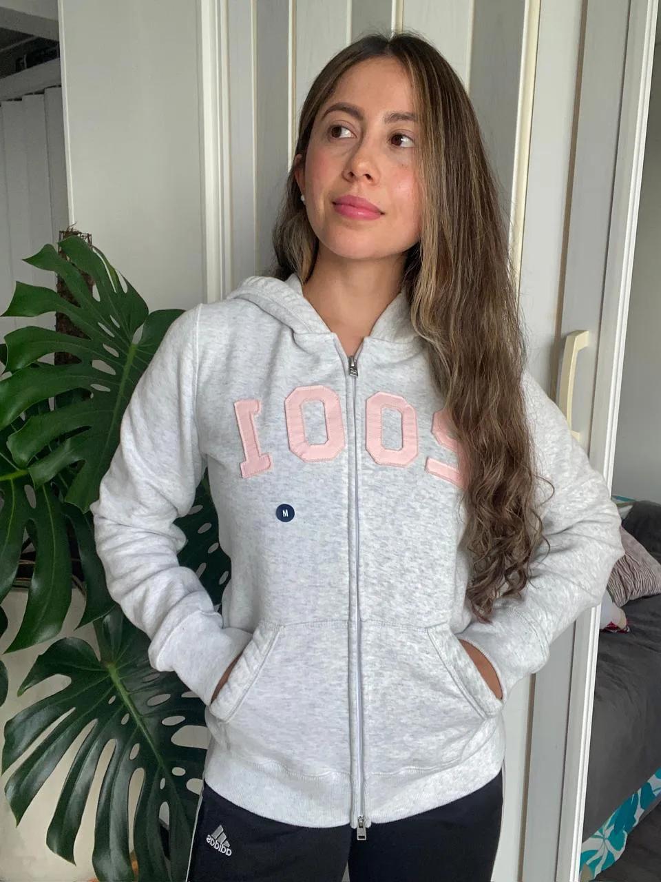 Jersey gris Hollister con capucha, gráfico y cremallera doble — vista 3